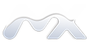 Metacortex